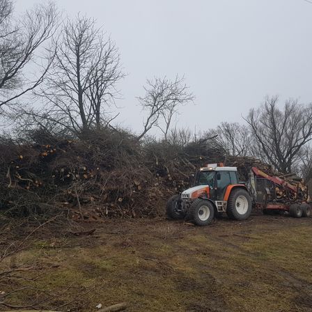 Ein Traktor mit einem Holzharvester-Anbaugerät steht auf einem Feld mit einem großen Haufen geschnittener Bäume dahinter. Die Bäume sind kahl, und der Himmel ist bedeckt.
