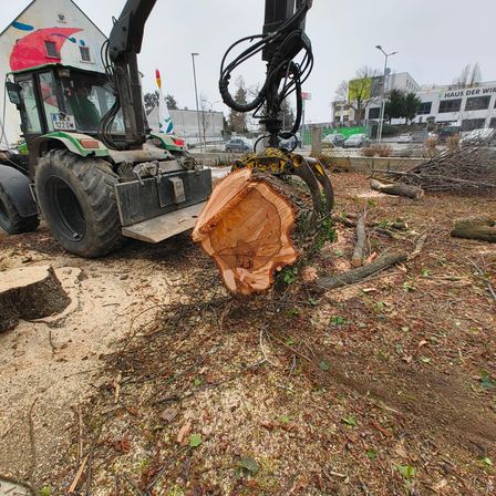 Eine große grüne Maschine schneidet einen Baumstamm auf einer Straße. Der Baumstamm liegt auf dem Boden und die Sägemehl sind verstreut. In der Ferne befinden sich viele Bäume und Gebäude.
