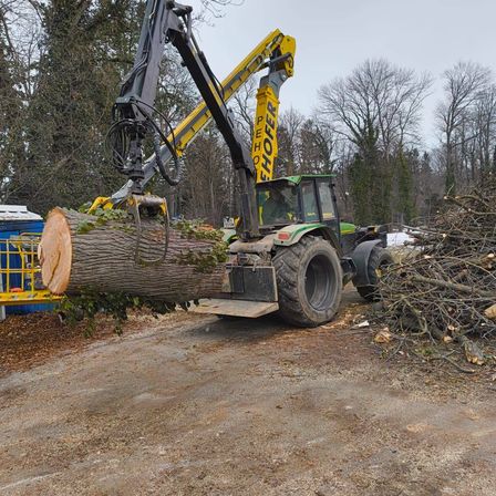 Eine Forstmaschine hebt einen großen Baumstamm mit einem Kran an. Sie befindet sich auf einer Erdstraße mit Ästen und Blättern auf dem Boden.