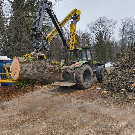 Eine Forstmaschine hebt einen großen Baumstamm mit einem Kran an. Sie befindet sich auf einer Erdstraße mit Ästen und Blättern auf dem Boden.
