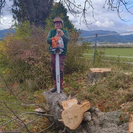 Ein Mann in einem grünen Shirt und Hut steht neben einem frisch geschnittenen Baumstamm. Hinter ihm befindet sich eine Kettensäge, und im Hintergrund sind ein Zaun, ein Feld und entfernte Berge zu sehen.