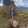 A man in a green shirt and hat stands beside a freshly cut tree trunk. Behind him is a chainsaw, and the background shows a fence, a field, and distant mountains.