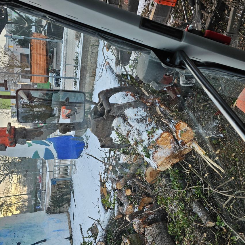 A close-up view of a tree being cut by a chainsaw. Piles of wood and branches are on the ground. A truck and machinery vehicle are nearby.