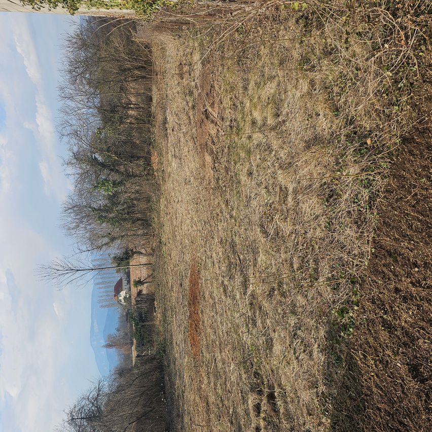 Ein Blick von oben auf ein kahles Feld mit einigen Bäumen und Büschen. Ein Gebäude ist in der Ferne unter einem blauen Himmel mit Wolken zu sehen.