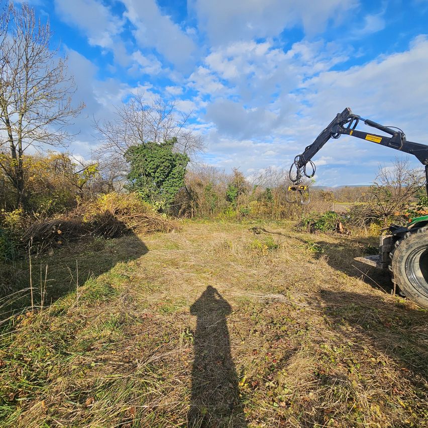Ein Traktor befindet sich auf einem Grasfeld mit verstreuten Pflanzen, unter einem blauen Himmel mit Wolken. Der Schatten des Traktors fällt auf den Boden.