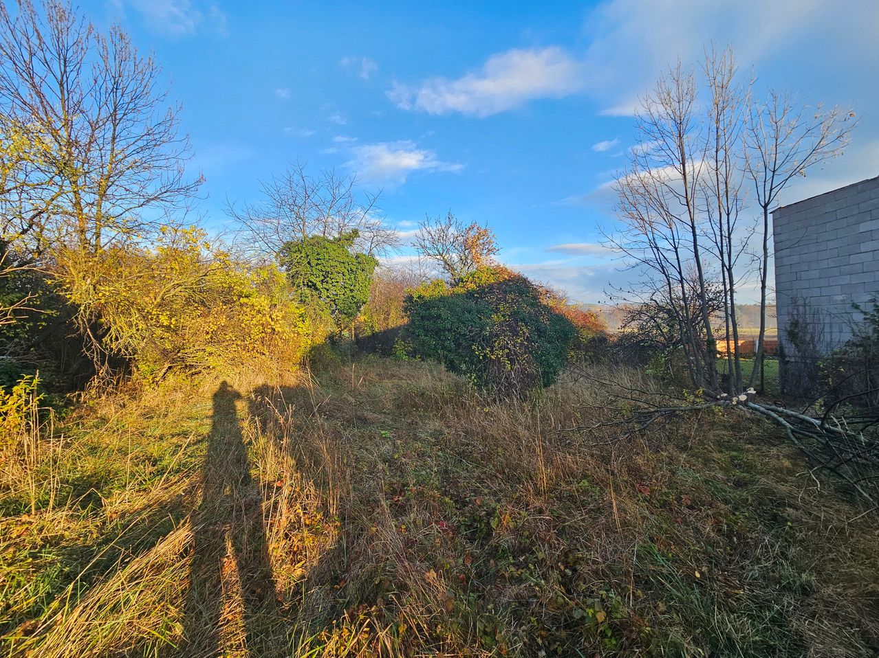 Ein Feld mit hohem Gras und einigen Bäumen mit gelben Blättern. Zwei Menschen stehen im Schatten des Grases. Der Himmel ist blau mit einigen Wolken.