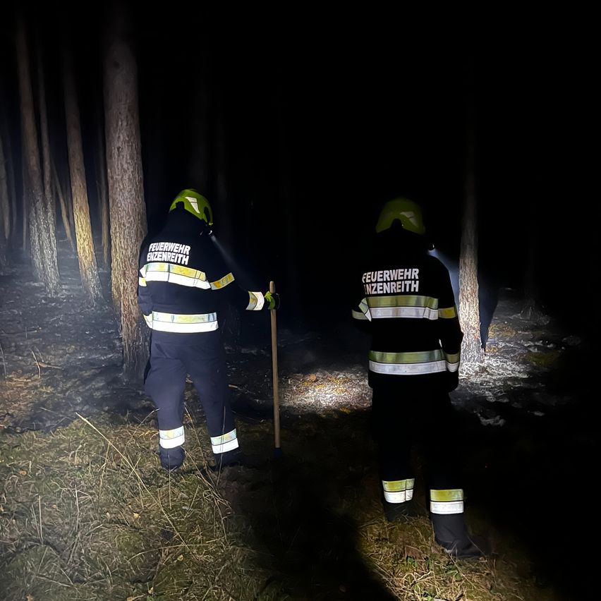 Zwei Feuerwehrleute in reflektierenden Uniformen und Helmen stehen in einem dunklen Wald, einer hält einen Stock.