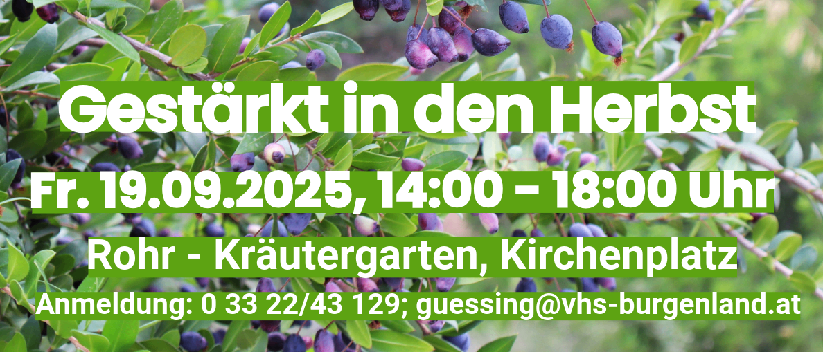 Plakat mit einem Baum voller blauer Beeren. Der Text lautet 'Gestärkt in den Herbst Fr. 19.09.2025, 14:00 - 18:00 Uhr Rohr - Kräutergarten, Kirchenplatz. Anmeldung: 0 33 22/43 129; guessing@vhs-burgenland.at'.