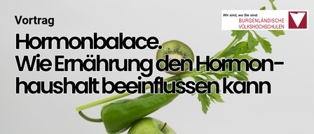 Plakat für einen Vortrag über Hormonbalance und Ernährung. Zeigt Obst und Gemüse, die aufeinandergestapelt sind. Datum: 27.01.2026, 18:00 Uhr. Ort: Hotel Der Freiraum. Kontakt: 0 33 22/43 129; guessing@vhs-burgenland.at.