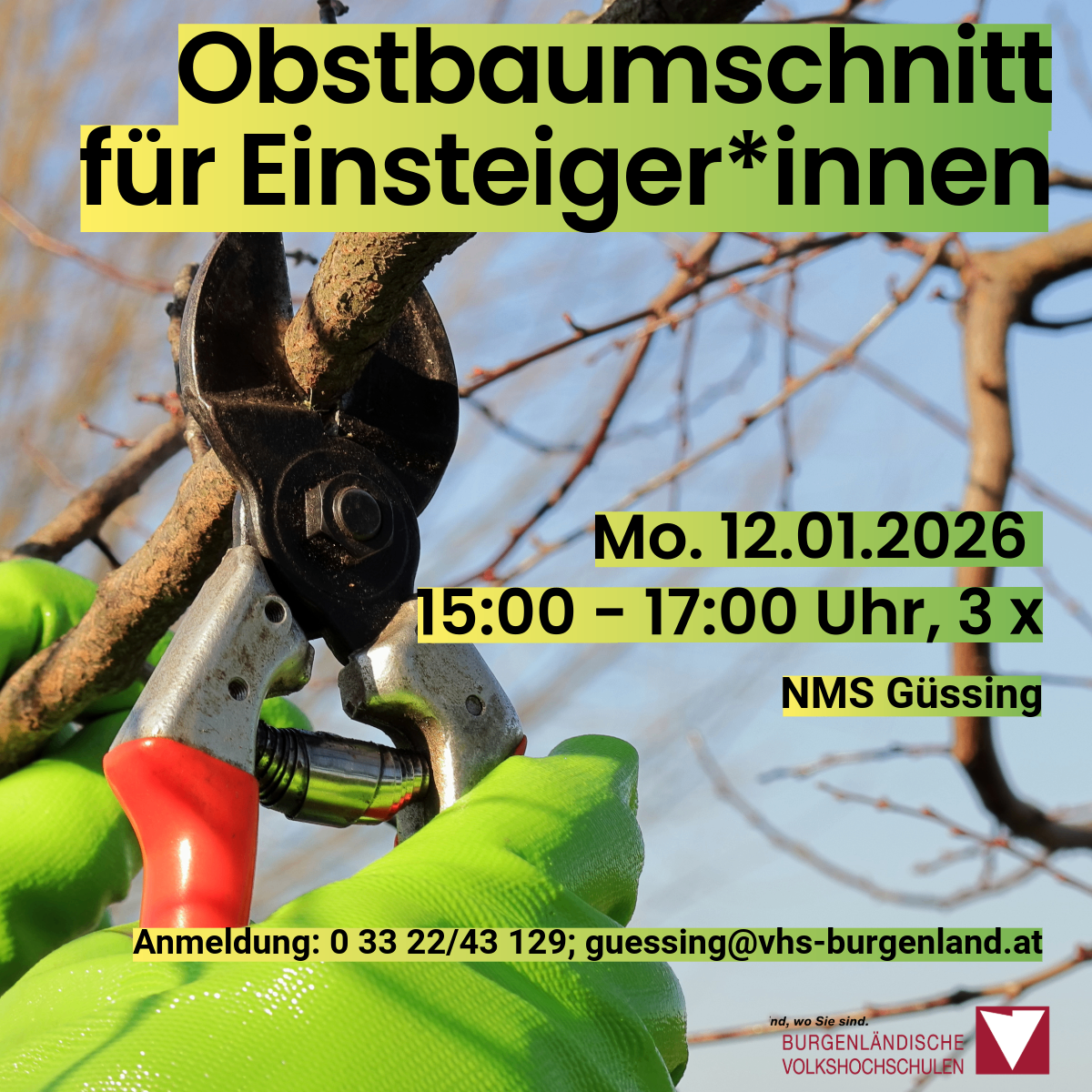 Ein Poster zeigt eine Gartenschere, die einen Ast mit grünen Handschuhen schneidet. Es handelt sich um einen Obstbaumschnitt am 12.01.2026. Die Zeit ist 15-17 Uhr bei NMS Gussing. Anmeldung unter 0 33 22/43 129 oder guessing@vhs-burgenland.at.