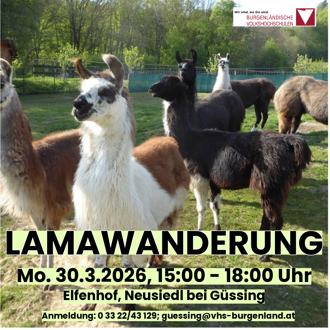 Ein Plakat bewirbt eine Lamawanderung-Veranstaltung. Die Veranstaltung ist für den 30. März 2026 von 15:00 bis 18:00 Uhr geplant. Der Ort ist Elfenof, Neusiedl bei Gussing. Kontaktinformationen sind angegeben.