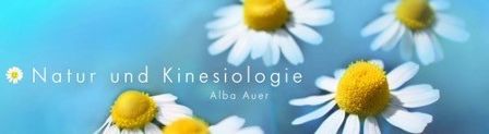 Ein blauer Hintergrund mit mehreren Gänseblümchen. Der Text lautet 'Natur und Kinesiologie' mit 'Aldo Auer' darunter.