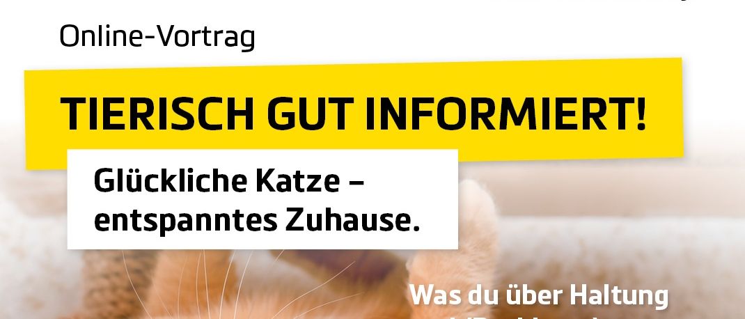 Online-Vortrag über Tiergesundheit. Eine Katze liegt entspannt auf einem Bett. Der Text lautet: Was du über Haltung und (Problem-)Verhalten wissen musst.
