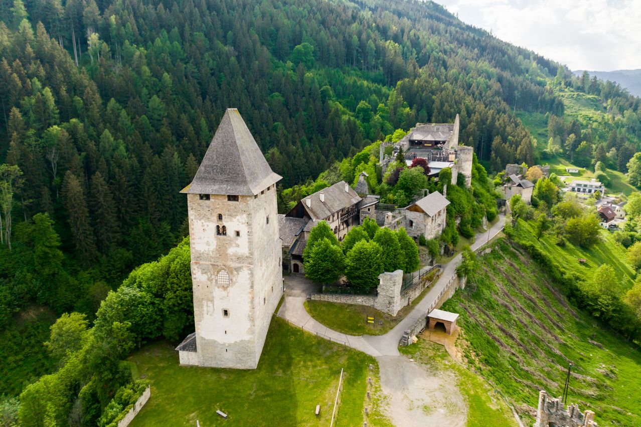 Eine Draufsicht auf eine mittelalterliche Burg mit einem hohen Turm, umgeben von üppigem Grün, auf einem Hügel gelegen.