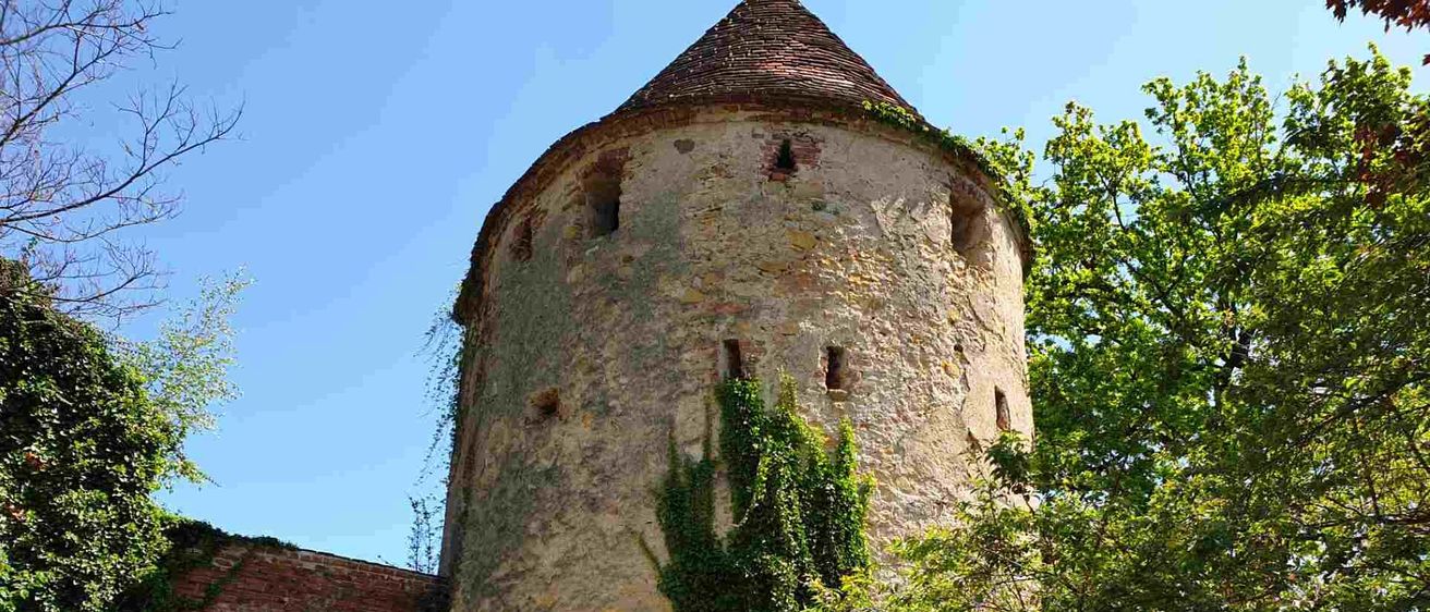 v1_migrated_image_13313775