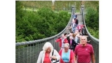 v1_migrated_image_43302345