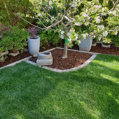 A well-maintained garden with a small tree in the center, surrounded by potted plants, mulch, and trimmed grass.