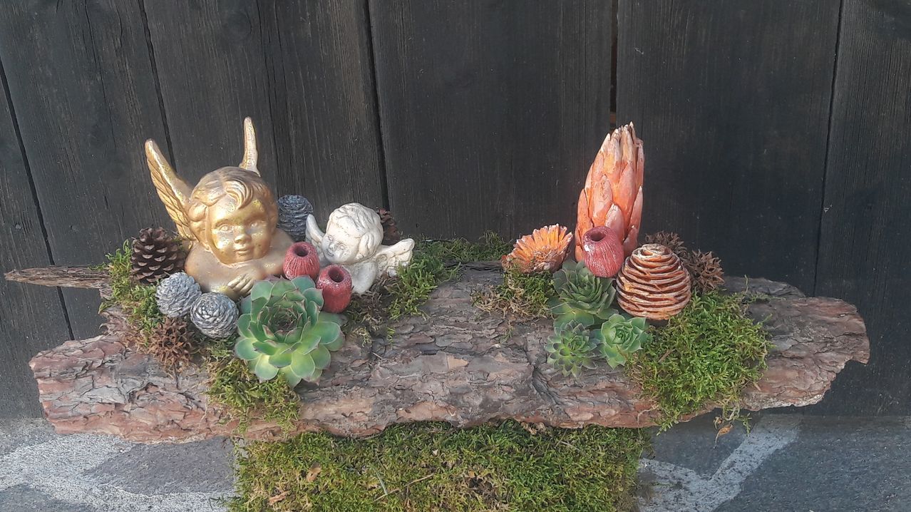 Eine Sammlung von Pflanzen und Dekorationsartikeln, einschließlich Sukkulenten, Zapfen und Figuren, ist auf einem Moos bewachsenen Baumstamm vor einem hölzernen Hintergrund angeordnet.