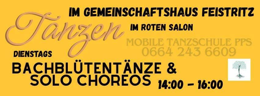 Gelbes Plakat bewirbt Tanzkurse im Gemeinschaftshaus Feistritz. Kurse beinhalten Bachblütentänze und Solo Choreos. Zeit: 14:00 - 16:00. Kontakt: 0664 243 6609.