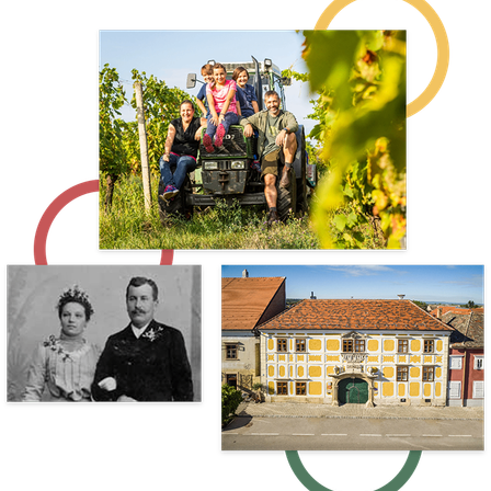 Eine Familie fährt auf einem Traktor im Weinberg, ein altes Foto eines Paares und ein historisches Haus mit rotem Dach.