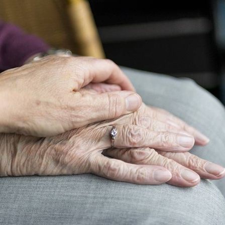 v1_migrated_image_51062668