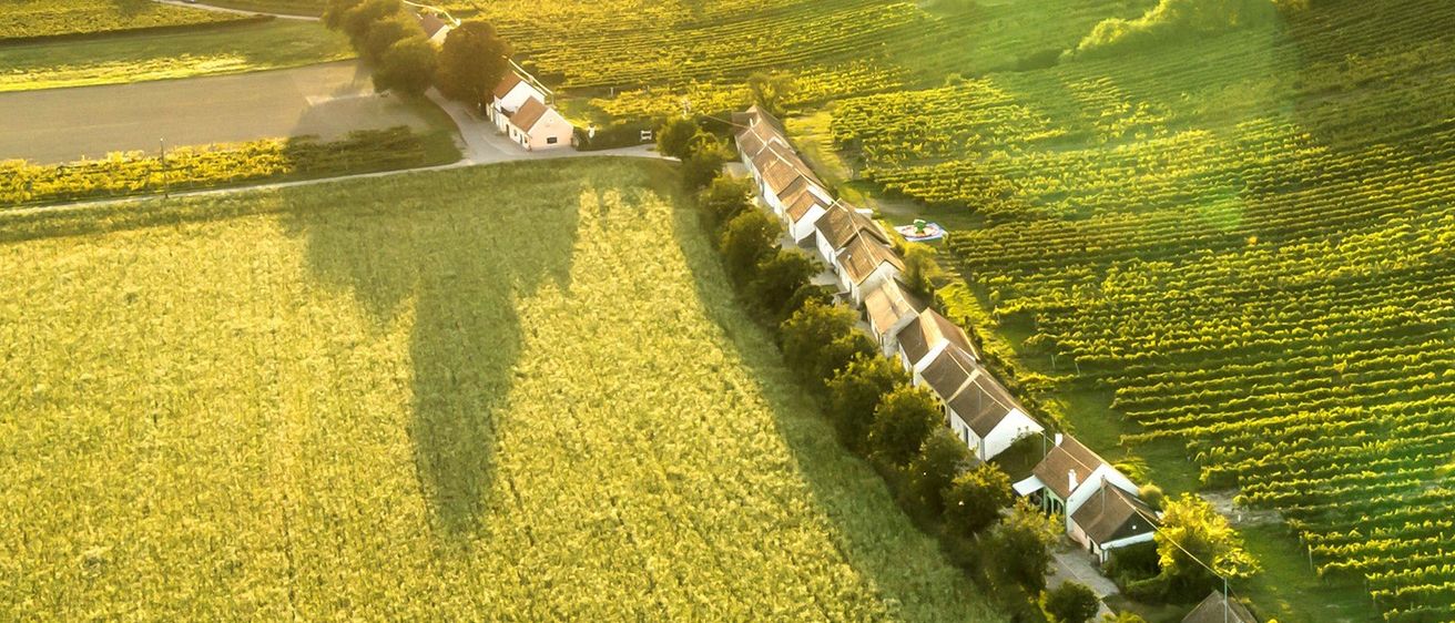Bild enthält, Outdoors, Nature, Countryside, Rural, Farm, Aerial View, Architecture, Building