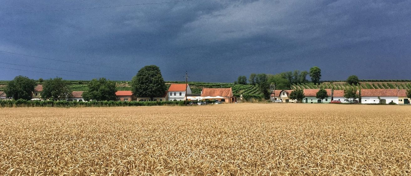 Bild enthält, Nature, Outdoors, Field, Sky, Scenery, Countryside, Car, Landscape, Shelter, Rural