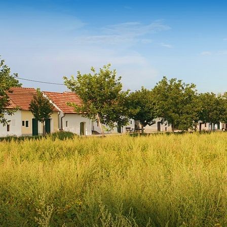 Bild enthält, Nature, Outdoors, Countryside, Rural, Suburb, Village