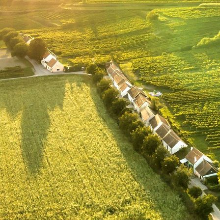 Bild enthält, Outdoors, Nature, Countryside, Rural, Farm, Aerial View, Windmill