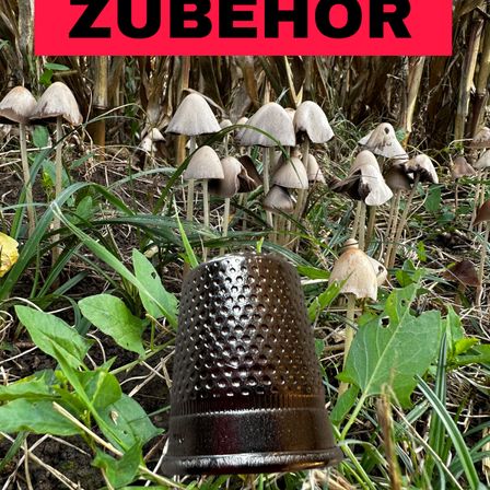 Bild enthält, Fungus, Plant