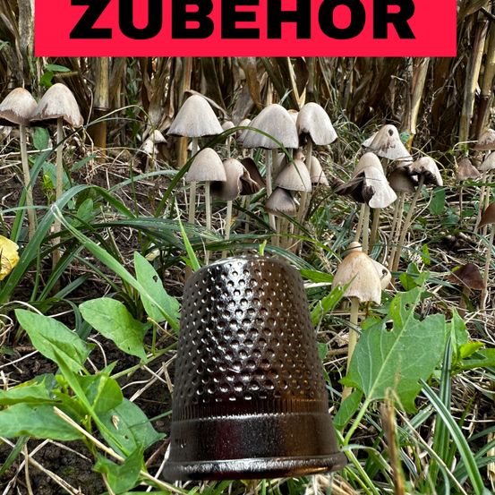 Bild enthält, Fungus, Plant