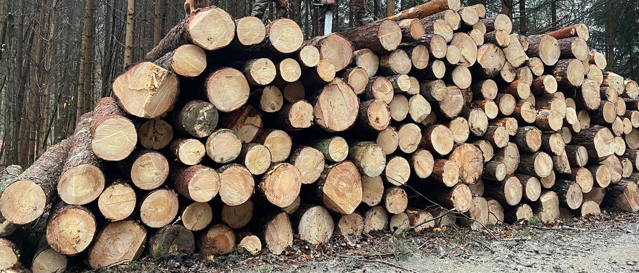 Bild enthält, Lumber, Wood, Person, Adult, Male, Man, Dog, Pet, Coat, Jacket