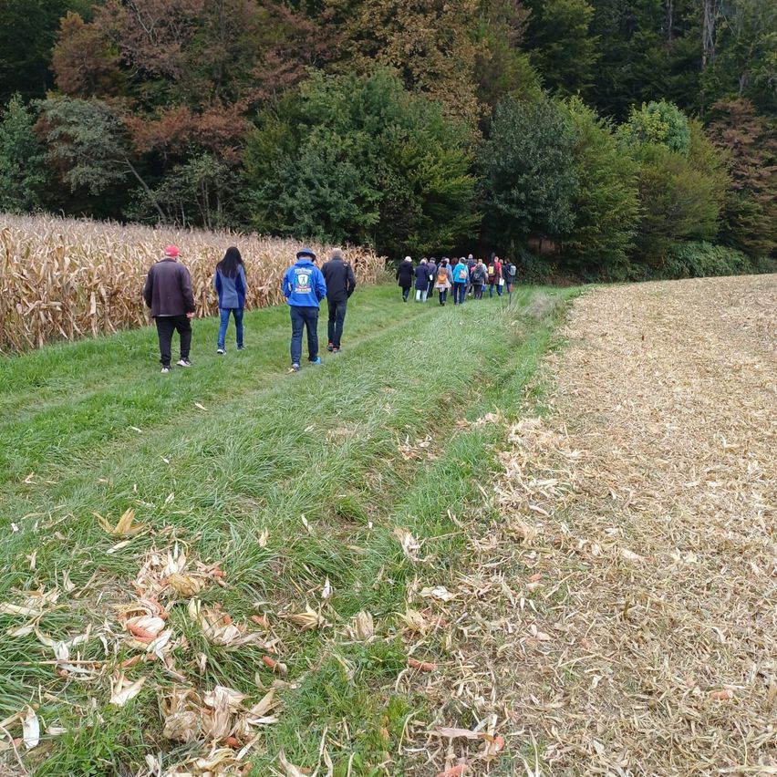 Eine Gruppe von Menschen geht auf einem Grasweg zwischen zwei Feldern, eines mit trockenem Mais und das andere mit grünem Gras.