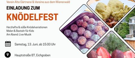 Plakat für ein Festival mit Essensproben, Erdbeeren und Fleischbällchen. Veranstaltung am 3. Juni ab 15 Uhr. Adresse ist Eichgraben 87.