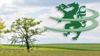 v1_migrated_image_87139157