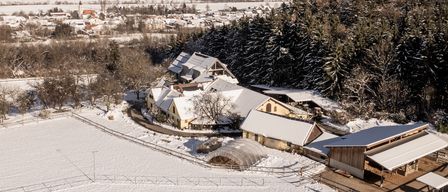 Eine Luftaufnahme eines verschneiten ländlichen Dorfes, umgeben von Bäumen und Feldern. Das Dorf hat Häuser mit schneebedeckten Dächern, einen Kirchturm und einen Weg, der zu den Gebäuden führt. Die Landschaft ist mit Schnee bedeckt, und der Himmel ist bedeckt.