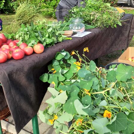 Bild enthält, Potted Plant, Garden, Nature, Outdoors, Planter, Vase, Herbal, Portrait, Gardening, Soil