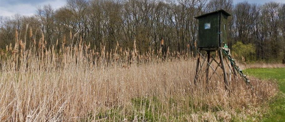 Bild enthält, Building, Outdoors, Shelter, Housing, Reed, House, Cabin, Hut, Nature, Grass