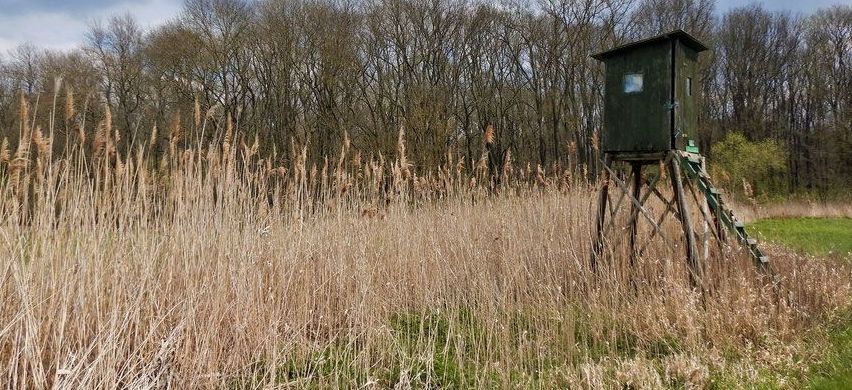 Bild enthält, Building, Outdoors, Shelter, Housing, Reed, House, Cabin, Hut, Nature, Grass