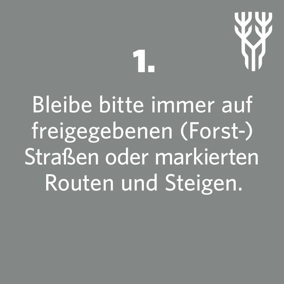 Bild enthält, Cutlery, Text