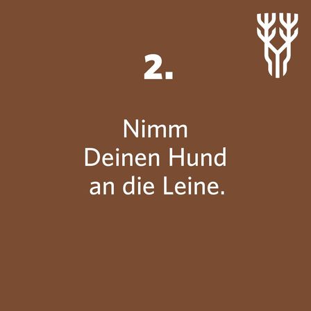 Bild enthält, Text, Advertisement, Poster