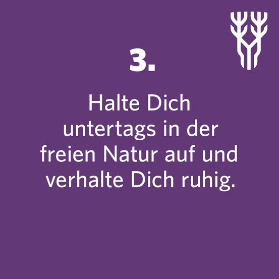 Bild enthält, Purple, Advertisement, Text, Poster, People, Person