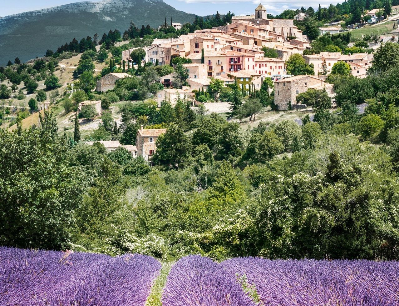 Bild enthält, Nature, Outdoors, Countryside, Flower, Plant, Rural, Building, Scenery, Village, Lavender