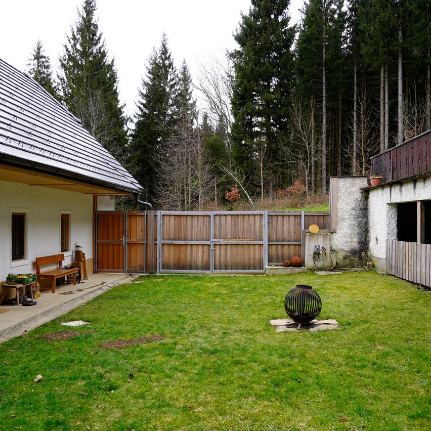 Bild enthält, Backyard, Nature, Outdoors, Yard, Tree, Grass, Fir, Shelter, Bench, Lawn