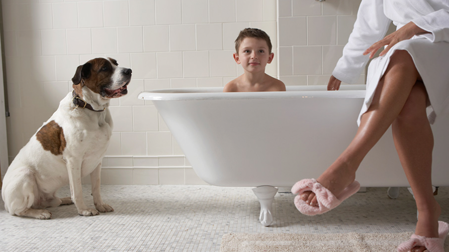 v1_migrated_image_32572246