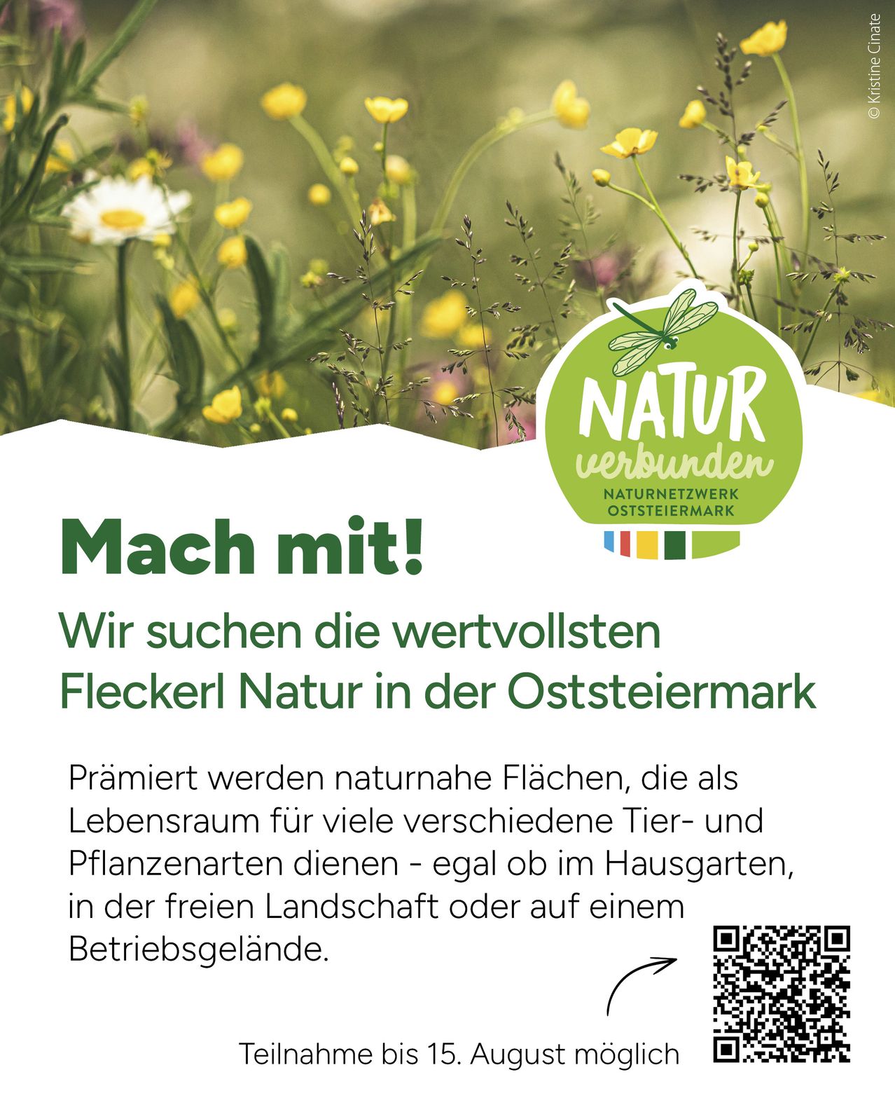 Ein Werbeplakat für 'Naturverbunden' in der Region Oststeiermark, das ein lebhaftes Bild von Wildblumen und einer Libelle zeigt und zur Teilnahme an der Erhaltung natürlicher Lebensräume aufruft.