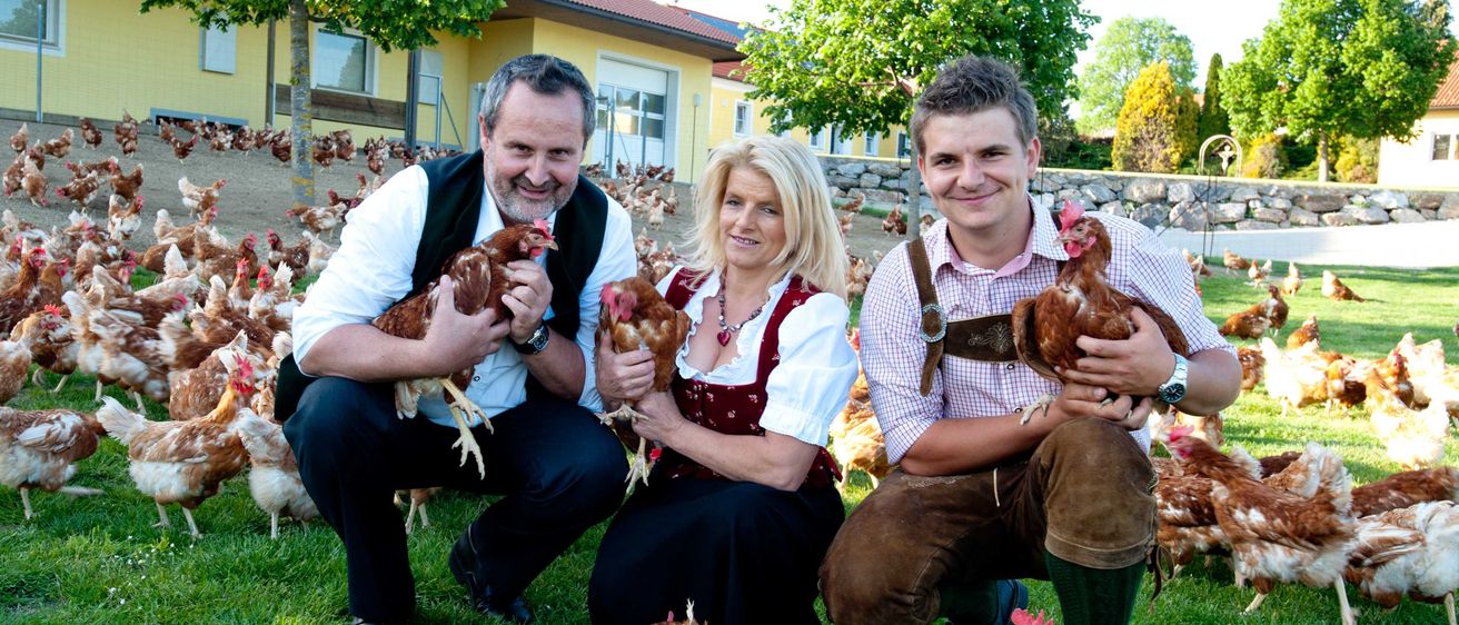 Bild enthält, Chicken, Adult, Female, Person, Woman, Wristwatch, Male, Man, Necklace, Shoe