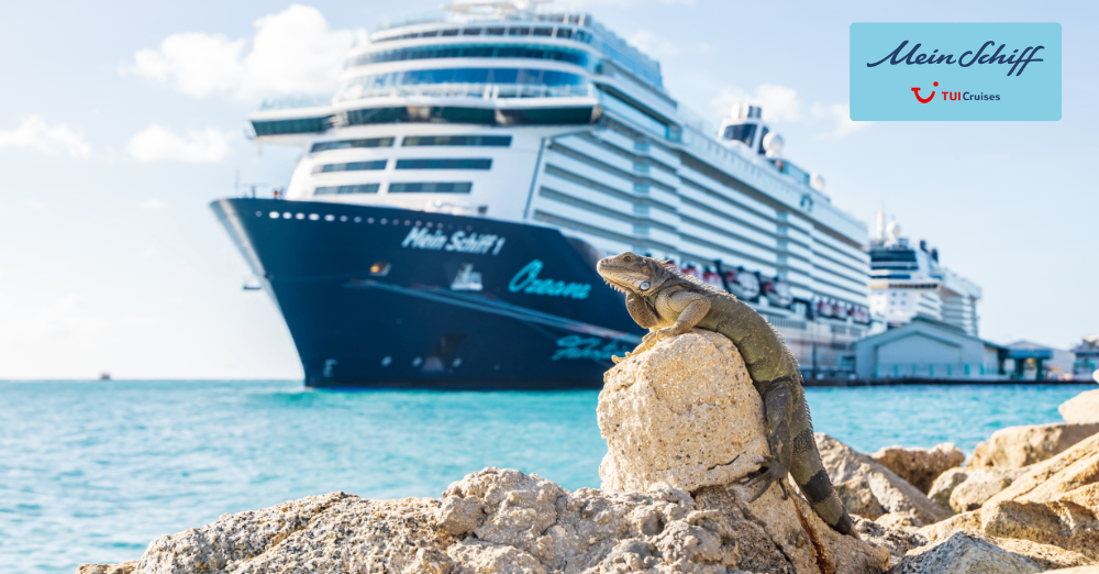 Bild enthält, Animal, Iguana, Lizard, Reptile, Boat, Vehicle, Cruise Ship, Ship, Water, Waterfront