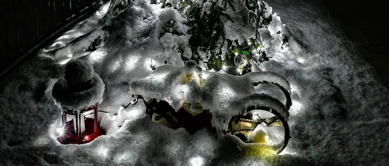 Ein Weihnachtsbaum mit Schnee und Lichtern steht in einem verschneiten Bereich bei Nacht. Ein Laterne ist in der Nähe.