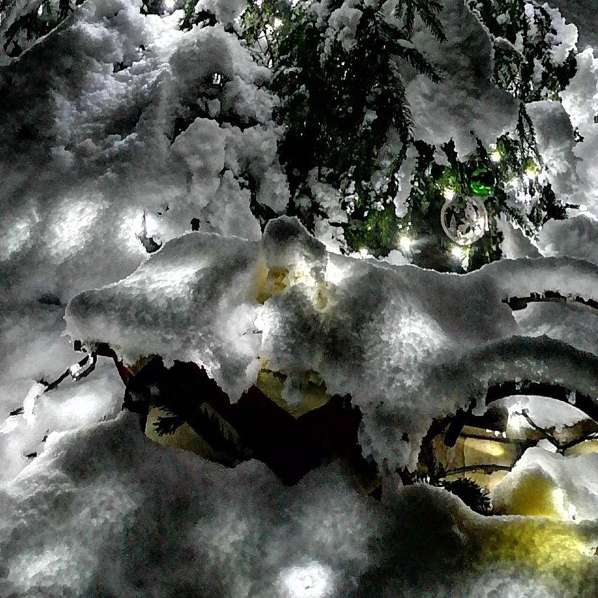 Ein Weihnachtsbaum mit Schnee und Lichtern steht in einem verschneiten Bereich bei Nacht. Ein Laterne ist in der Nähe.